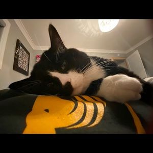 Meet your Posher, Claudia